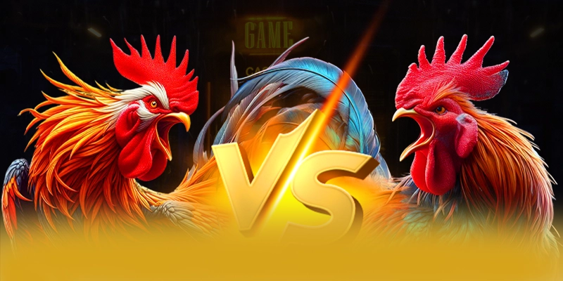 Đánh giá từ game thủ về BET168