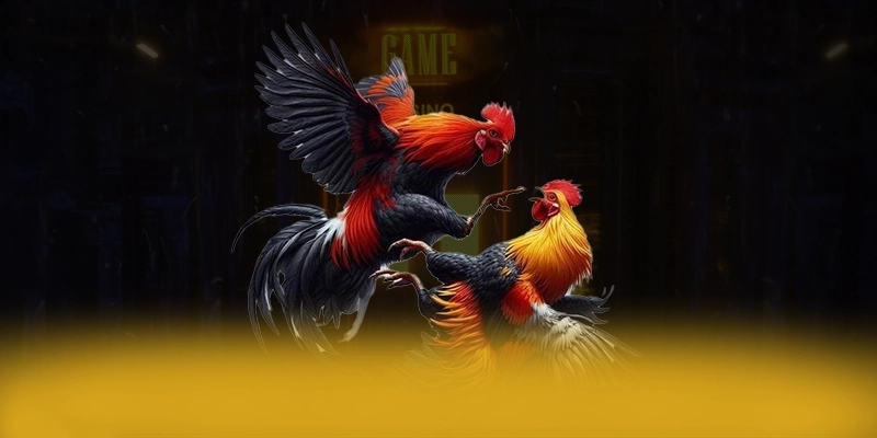 Giải đáp thắc mắc về BET88