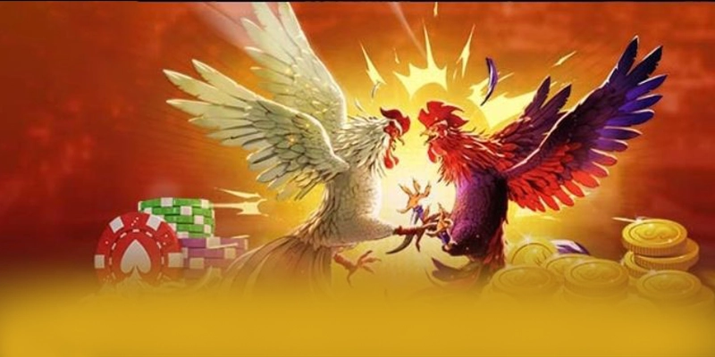 8XBET - Cổng game sở hữu kho game phong phú tại Việt Nam